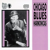 Chicago Blues harmonicas