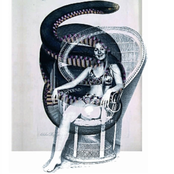 Scram C Baby Tribute Album