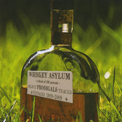 Whiskey Asylum (Select Prodigals Tracks 1999-2009)