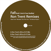 Fall (Ron Trent Remixes)