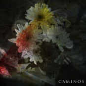 Caminos: Avance 2012