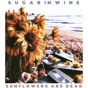 Sunflowers are Dead