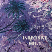 INDECISIVE, Vol. 1