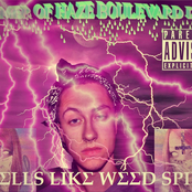 Smells Like Weed Spirit