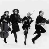 the string quartet