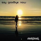 Say Goodbye Now