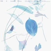 てぃんさぐぬ花