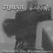 Storm of the Shallow Voices