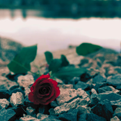 Bella Ciao (English)