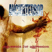 Arguments for Agression