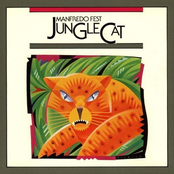 Jungle Cat