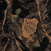 transformations at the hands of malevolent entities