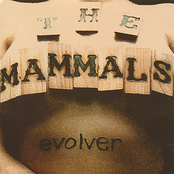 The Mammals: Evolver