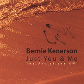 Honeymoon Flight by Bernie Kenerson