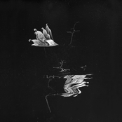 The Subtleties Of Elevated Things