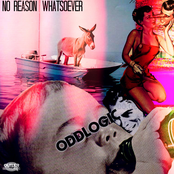 NO REASON WHATSOEVER