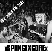 xspongexcorex