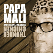 Papa Mali: Thunder Chicken