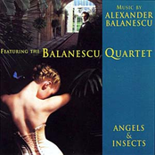 Angels & Insects