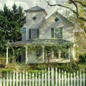 Harlow Road: Invasive Species