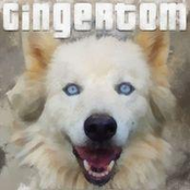 gingertom