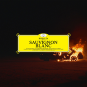 Sauvignon Blanc cover