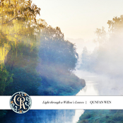 Light through a Willow's Leaves