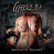 Servant Of Tyranny