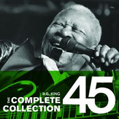 You Put It On Me by B.b. King