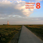 Tunguska Chillout Grooves vol.8