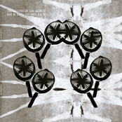 Los Gaiteros de San Jacinto: Dub de Gaita (El Fin del Mundo), Vol. II & III