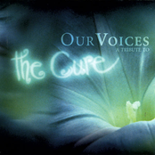 Our Voices - A Tribute To Th..