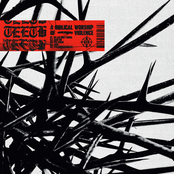 Teeth: A Biblical Worship of Violence