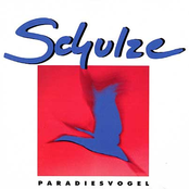 Paradiesvogel
