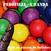Festa na Piscina de Bolinhas