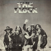 The Flock