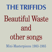 Beautiful Waste And Other Songs - Mini Masterpieces 1983 - 1985