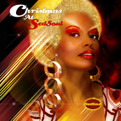 Christmas At Sedsou