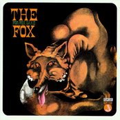 Look In The Sky by The Fox
