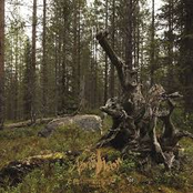 Nordvisor: Ett Samlingsverk Från Nordvis