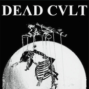 Surviving In A Dying World