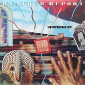 Man With The Copper Fingers by Weather Report