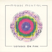 Lotuses On Fire Album Picture
