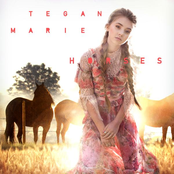 Tegan Marie: Horses (for Spirit Riding Free)