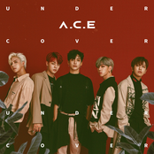 A.C.E: UNDER COVER