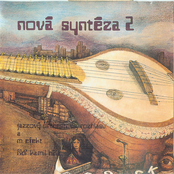 Nova Synteza 2