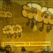 Katzenjammer im Hundehimmel