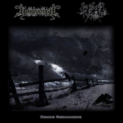 Белое Безмолвие