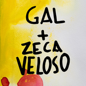 Zeca Veloso: Nenhuma Dor