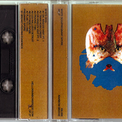 White Dog/Pregnant Spore split c62 (Rainbow Bridge)